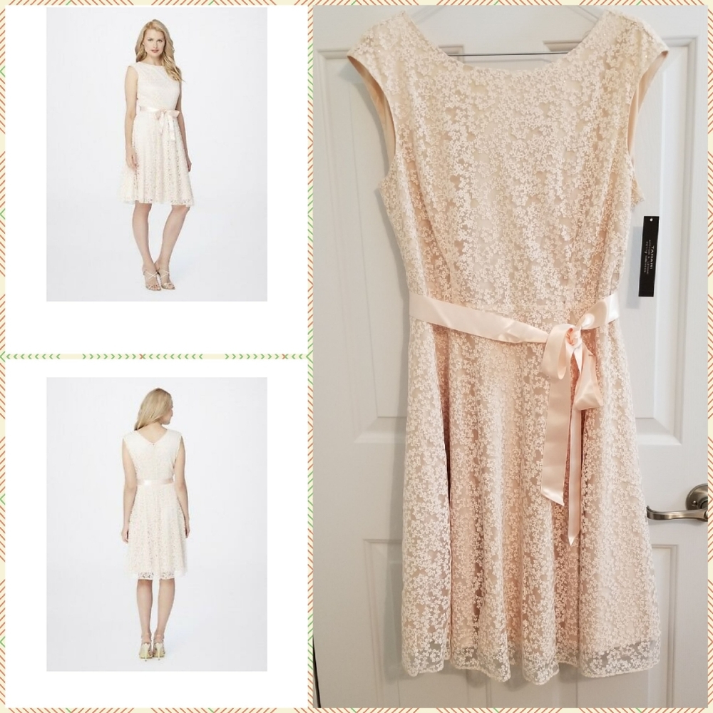 NWT Tahari Blush Dress